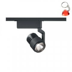 Lampa reflektor spot szynowy 2-obwodowy LED 15W DUOLINE 78030132 Trio