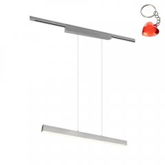 Lampa wisząca szynowa 2-obwodowa LED 29W DUOLINE 73043107 Trio