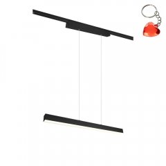 Lampa wisząca szynowa 2-obwodowa LED 29W DUOLINE 73043132 Trio