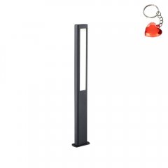 Lampa zewnętrzna słupek ogrodowy LED 2x5,5W 100 cm RHINE 421660242 Trio