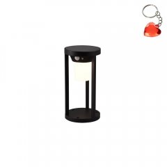 Lampa zewnętrzna słupek ogrodowy solarny LED 2W CARMO 541069132 Trio