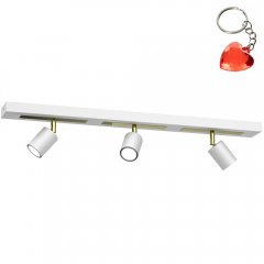 Lampa reflektor spot 3-punktowy RODEZ 1667 Luminex