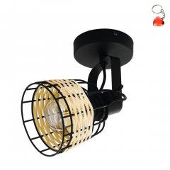 Lampa reflektor spot ANWICK 1 43324 Eglo