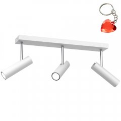 Lampa reflektor spot AXION 326 Luminex