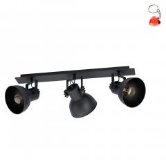 Lampa reflektor spot BARNSTAPLE 1 43433 Eglo