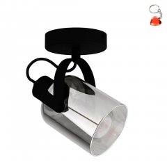 Lampa reflektor spot BERREGAS 99052 Eglo