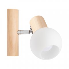Lampa reflektor spot Brzoza KARIN 2231160 Spot-Light