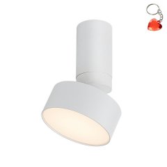Lampa reflektor spot LED 10W OVIDIA 71326 Rabalux