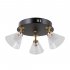 Lampa reflektor spot LED 12W ORELLA WL-34393-3R-BK-HBR Italux