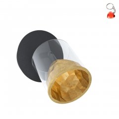 Lampa reflektor spot LED 1x5,4W MELITO 39573 Eglo