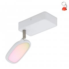 Lampa reflektor spot LED 1x5W PALOMBARE-C 97691 Eglo