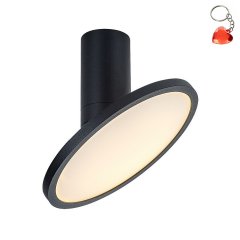 Lampa reflektor spot LED 20W OVIDIA 71323 Rabalux