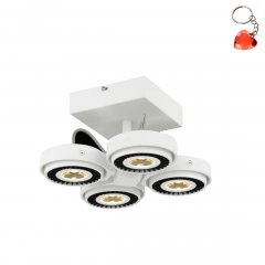 Lampa reflektor spot LED 40W TECHNO ML3839 Milagro