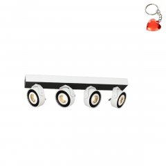 Lampa reflektor spot LED 40W TECHNO ML3843 Milagro