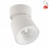 Lampa reflektor spot LED 7W KYOTO WHITE 18134 TK Lighting