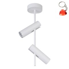 Lampa reflektor spot LEDA 2 33105 Sigma Lighting