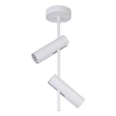 Lampa reflektor spot LEDA 2 33105 Sigma Lighting