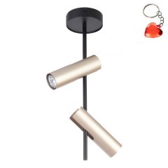 Lampa reflektor spot LEDA 2 33109 Sigma Lighting