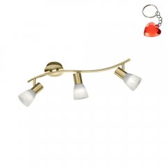 Lampa reflektor spot LEVISTO 871010308 Trio