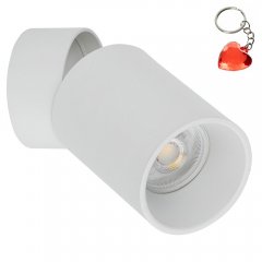 Lampa reflektor spot LOGAN DOWNLIGHT 5373 TK Lighting