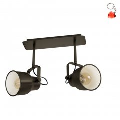 Lampa reflektor spot MITCHLEY 43386 Eglo