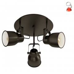 Lampa reflektor spot MITCHLEY 43388 Eglo
