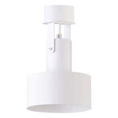 Lampa reflektor spot RIF PLUS 1 31201 Sigma Lighting