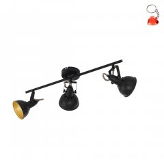 Lampa reflektor spot THORNTON 75513 Eglo