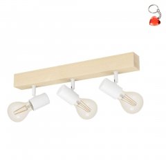 Lampa reflektor spot TOWNSHEND 3 33171 Eglo