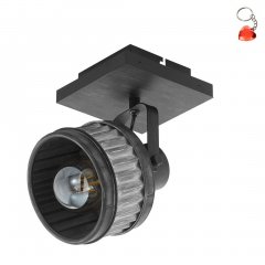 Lampa reflektor spot TURROCK 43444 Eglo