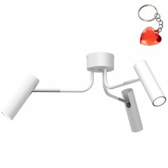 Lampa sufitowa z reflektorkami AXION 332 Luminex