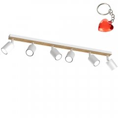 Sześciopunktowa lampa reflektor spot TERRA 9984 Luminex