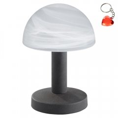 Lampa stołowa FYNN II 599100124 Trio