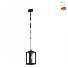 Lampa wisząca zewnętrzna ALAMONTE 1 94788 Eglo