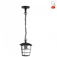 Lampa wisząca zewnętrzna ALORIA 93406 Eglo
