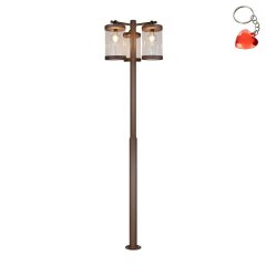 Lampa masztowa CUSTYRA DL324404160 Trio