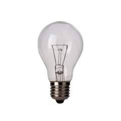 Żarówka żarowa 100W B-22 WOJ + 10036 Spectrum
