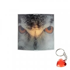 Lampa ścienna OWL 105242 Markslojd