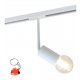 Lampa reflektor spot szynowy MARVI TR JAZZ 913903-1-LNG-WH Italux