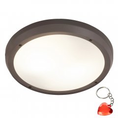 Lampa sufitowa zewnętrzna ALVORADA 8049 Rabalux