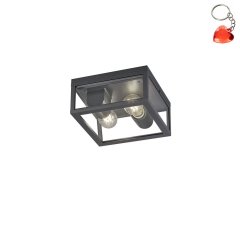 Lampa sufitowa zewnętrzna KORIEL DL242601860 Trio