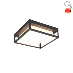 Lampa sufitowa zewnętrzna LED 14W PORTOR DL142677860 Trio