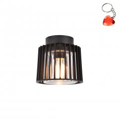 Lampa sufitowa zewnętrzna SHYNE 6397501012 Lutec
