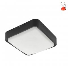 Lampa zewnętrzna sufitowo-ścienna LED 14W PIOVE-C 97295 Eglo