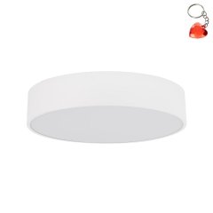 Oprawa natynkowa zewnętrzna IP54 LIVO WHITE L 10987 TK Lighting