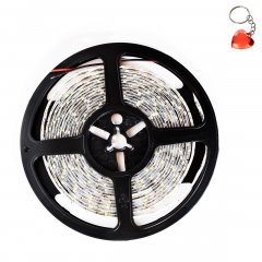 Taśma Pro 60 LED 24W 6000K IP65 5m ML4750 Milagro