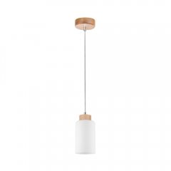 Lampa wisząca BOSCO 1720160 Spot-Light