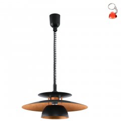 Lampa wisząca BRENDA 31666 Eglo
