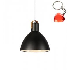 Lampa wisząca EAGLE 106552 Markslojd
