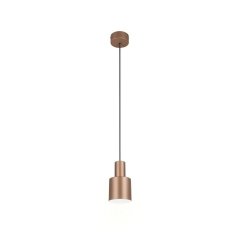 Lampa wisząca ELIOR DL165319400 Trio